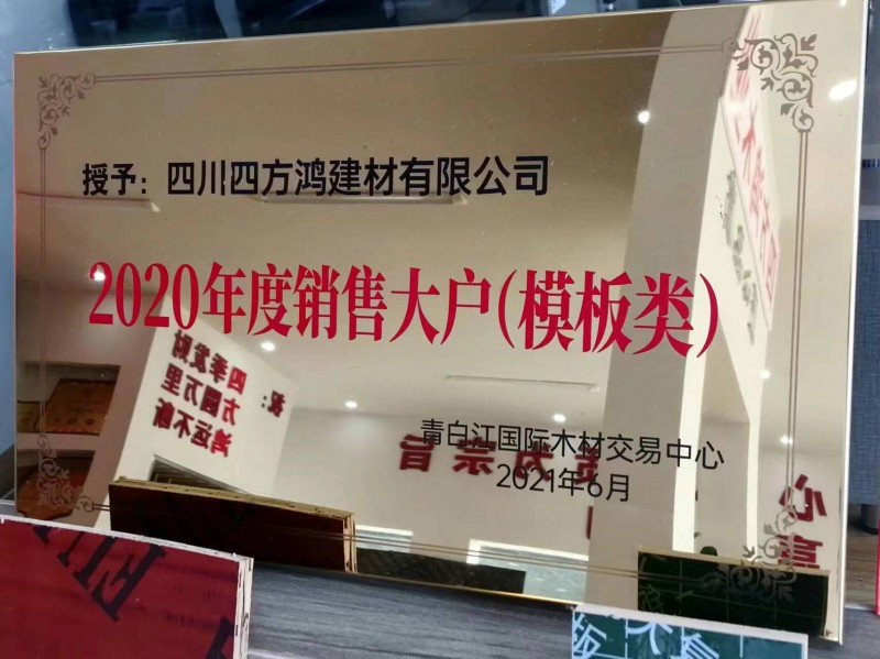 2020年度銷(xiāo)售大戶（模板類(lèi)）